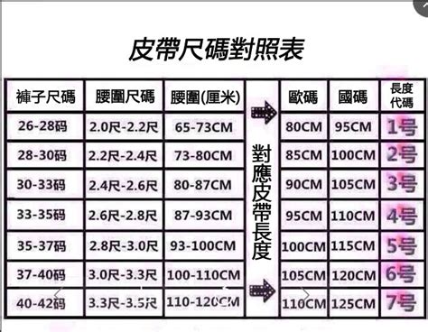 皮帶尺寸對照表